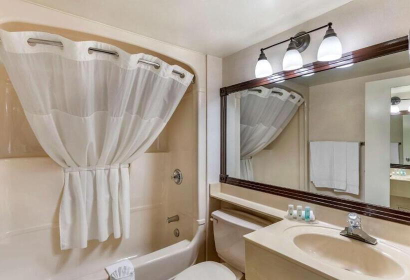 ２ダブルベッドのスタンダードルーム, Quality Inn And Suites Montreal East