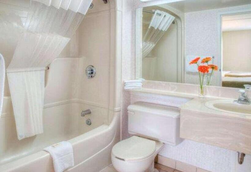 带2个双人床的标准工作室, Quality Inn And Suites Montreal East