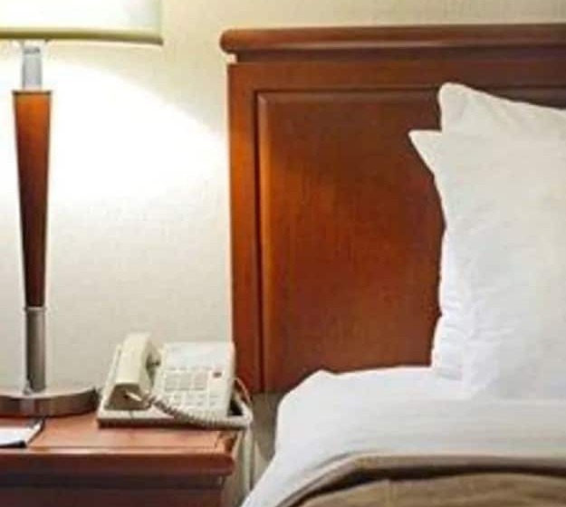 商务房间, Quality Inn And Suites Montreal East