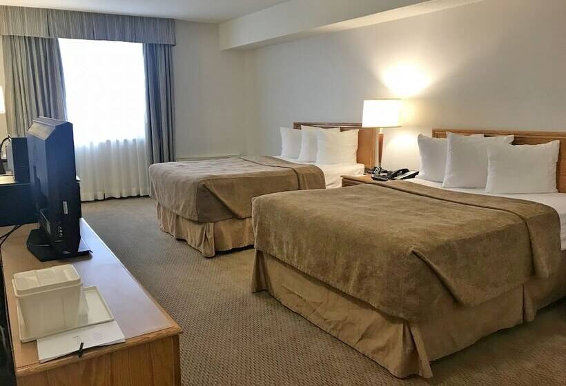 商务房间, Quality Inn And Suites Montreal East