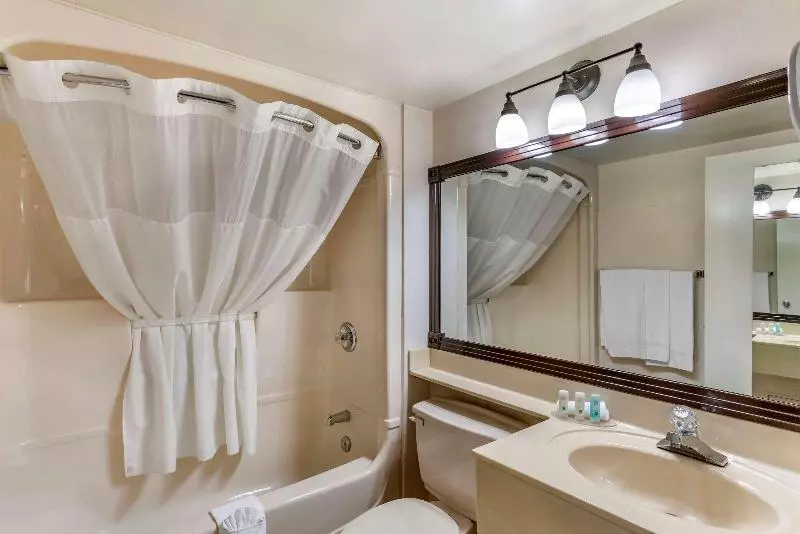 キングサイズベッドのスイートルーム, Quality Inn And Suites Montreal East