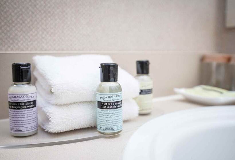 חדר סטנדרט שתי מיטות זוגיות, Sandman Hotel Terrace