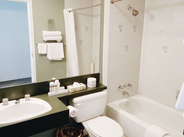 豪华房间, The Met