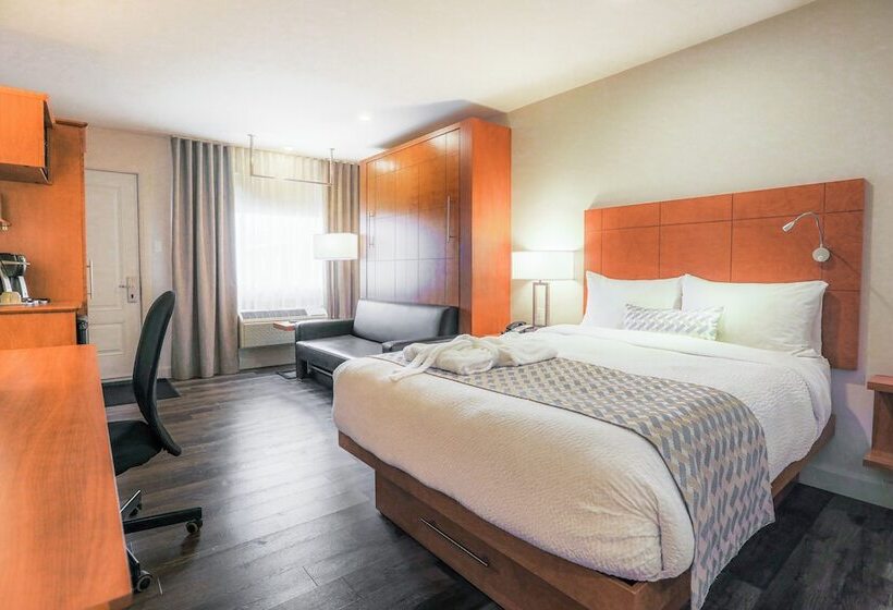 수피리어 룸, Hôtel & Cie