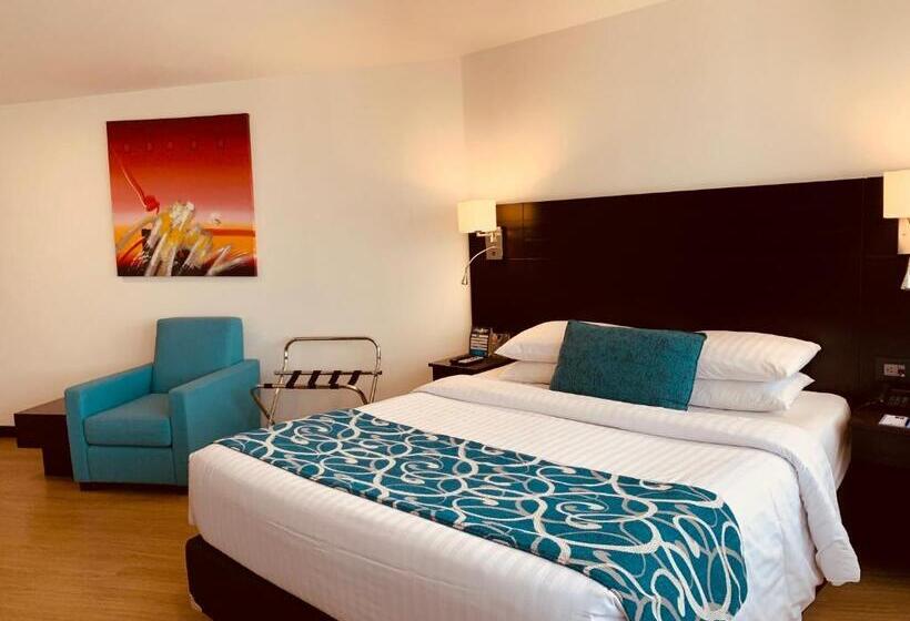 스탠다드 룸, Dann Cali