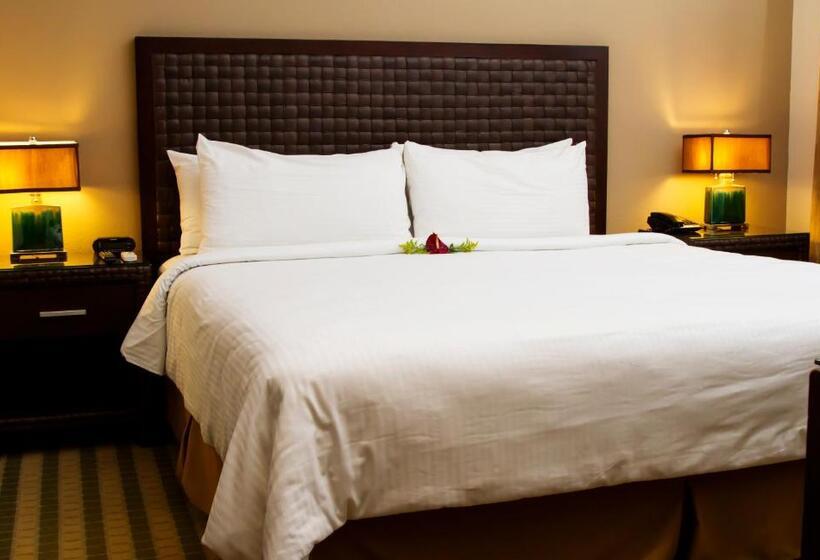 스탠다드 룸 킹사이즈 침대, Rincon Del Valle Hotel & Suites