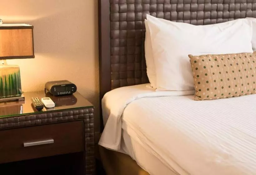 キングサイズベッドのスイートルーム, Rincon Del Valle Hotel & Suites