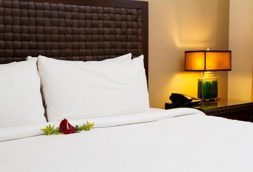 스탠다드 룸, Rincon Del Valle Hotel & Suites