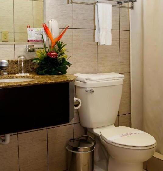 Стандартный Номер Кровать Кинг, Rincon Del Valle Hotel & Suites