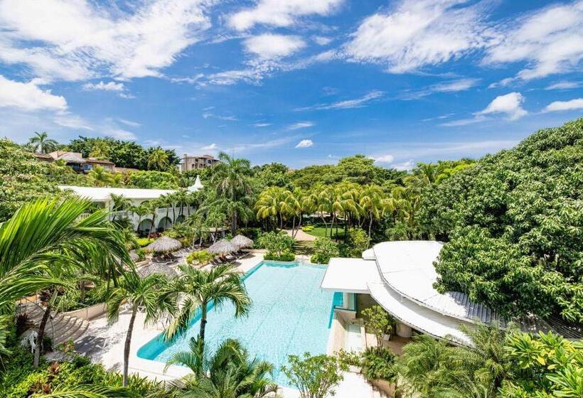 Люкс, Tamarindo Diria Beach Resort