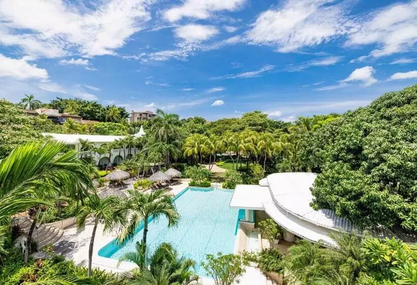 スイート, Tamarindo Diria Beach Resort