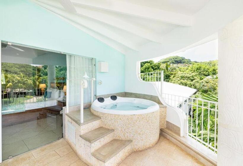 스위트, Tamarindo Diria Beach Resort
