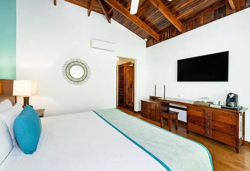 キングサイズベッドのスタンダードルーム, Tamarindo Diria Beach Resort