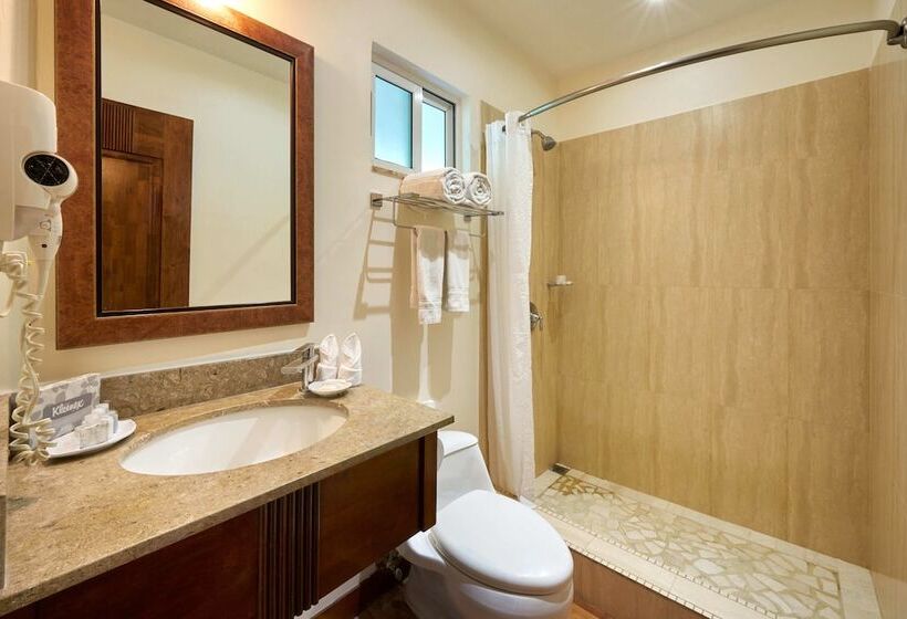 Стандартный Номер Кровать Кинг, Tamarindo Diria Beach Resort