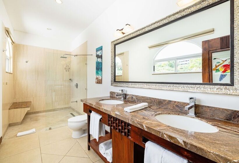 Люкс, Tamarindo Diria Beach Resort