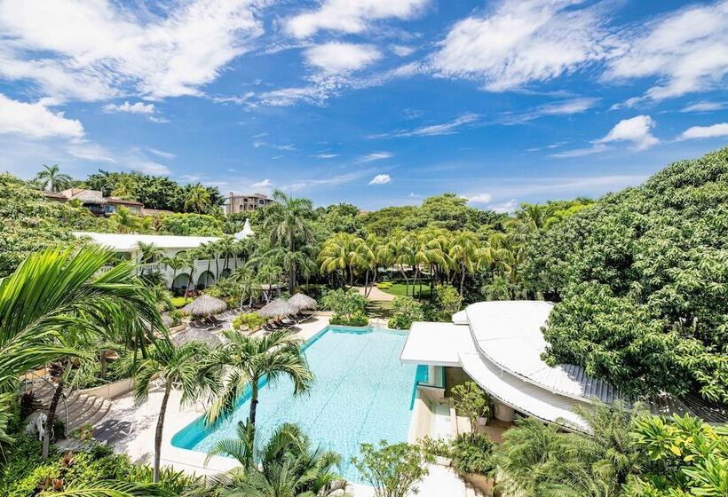 스위트, Tamarindo Diria Beach Resort