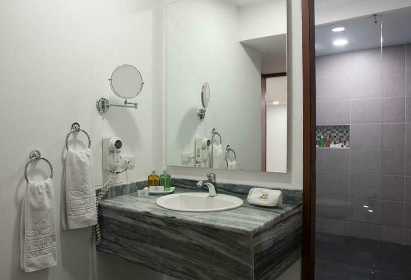 غرفة بريميوم, Torre De Cali Plaza