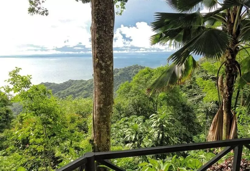Villa 1 Makuuhuone, Villa Caletas