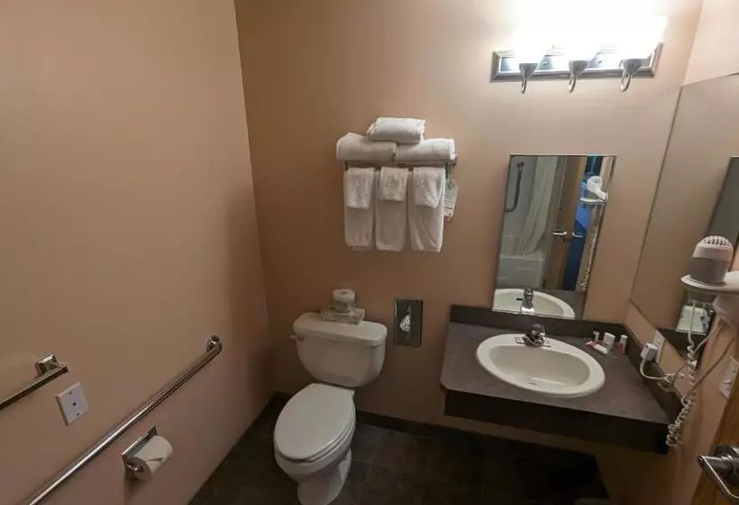 اتاق استاندارد برای معلولان, Ramada By Wyndham Cranbrook