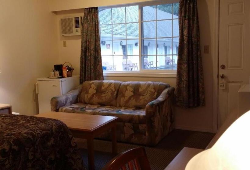 Номер Стандарт, Skagit Motel