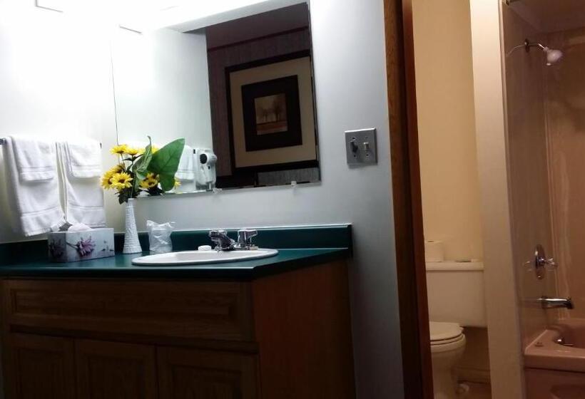Номер Стандарт, Skagit Motel