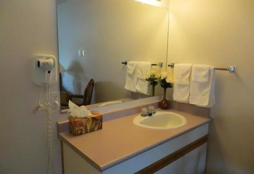 キングサイズベッドのスタンダードルーム, Skagit Motel