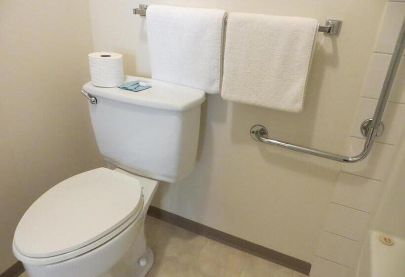 Deluxe Suite, Skagit Motel