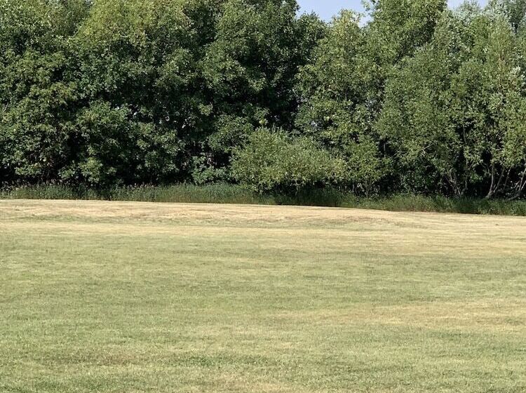 غرفه قياسيه سريرين مزدوجين, Westway Inn Motel