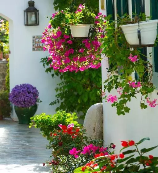 اتاق کلاسیک چهارنفره, Le Hameau