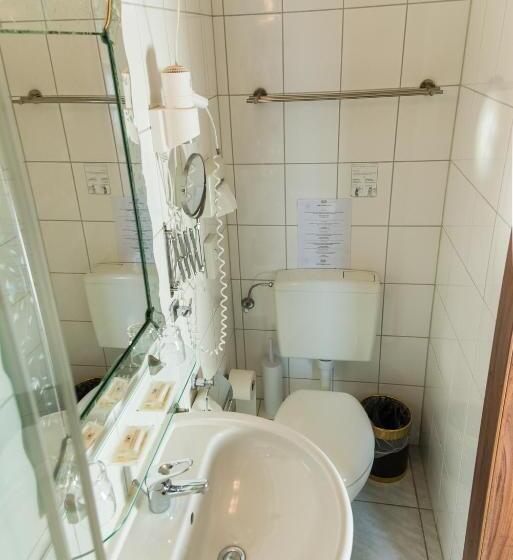 Номер Стандарт Вид на Озеро, Und Restaurant Lowenbrau Koln