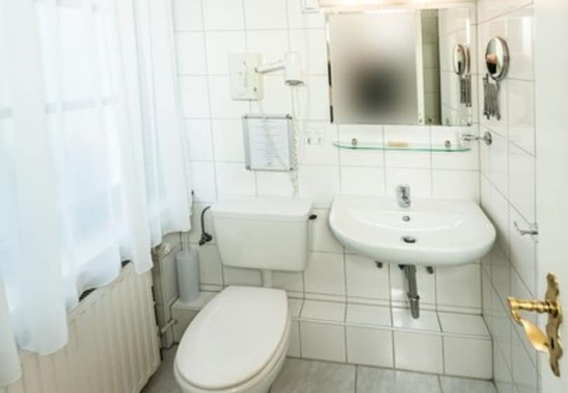 Номер Стандарт Индивидуальный, Und Restaurant Lowenbrau Koln