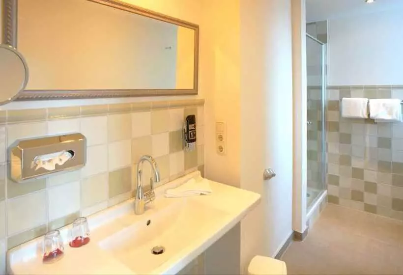 Habitació Estàndard amb Vistes, Golfhotel Kaiserin Elisabeth