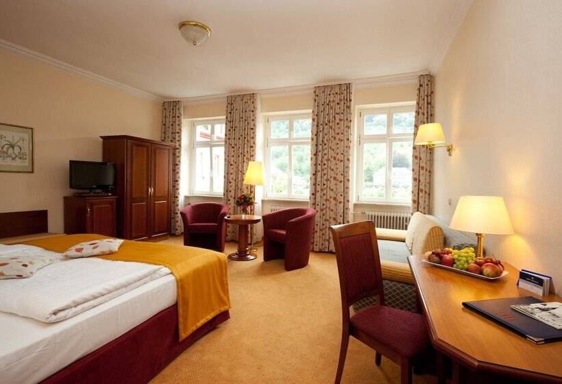 高级大房间, City Partner Hotel Holländer Hof