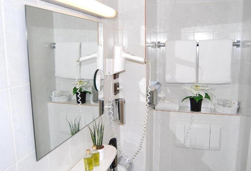 Номер Стандарт Индивидуальный, Krone Aachen | City Eurogress