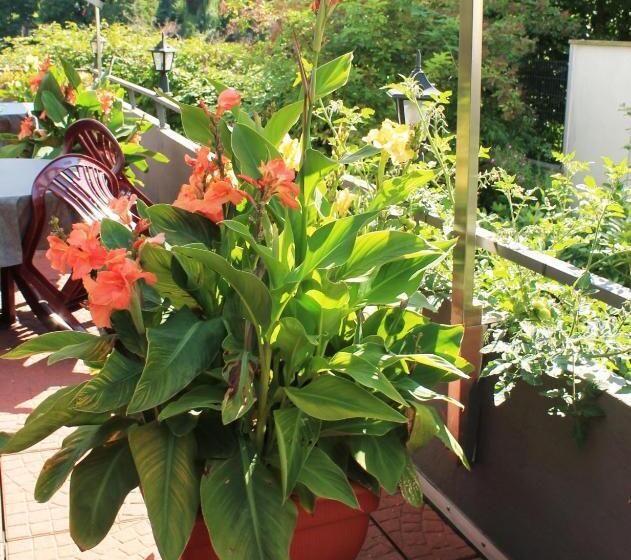 Номер Стандарт Индивидуальный, Wakenitzblick