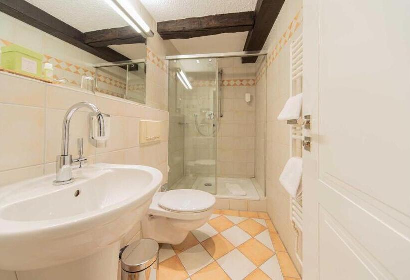 חדר סטנדרט יחיד, Romantik Hotel Walhalla