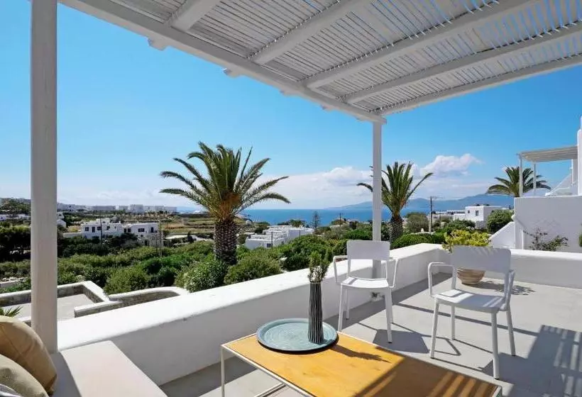 オーシャンビュースーペリアールーム, Andronikos Mykonos