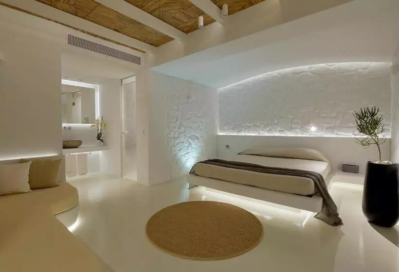 ガーデンビュースーペリアールーム, Andronikos Mykonos