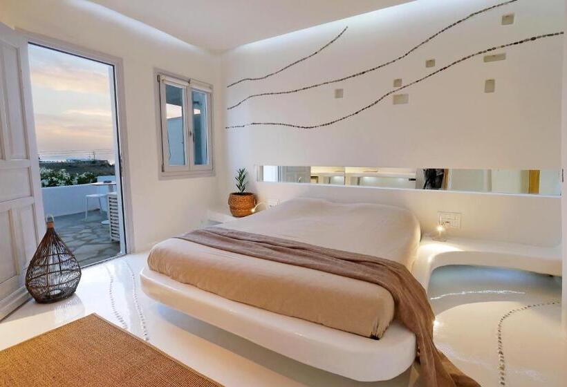 标准房带园景, Andronikos