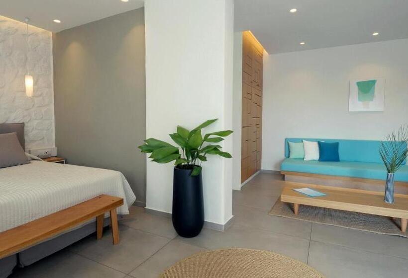 带园景的小型套房, Andronikos