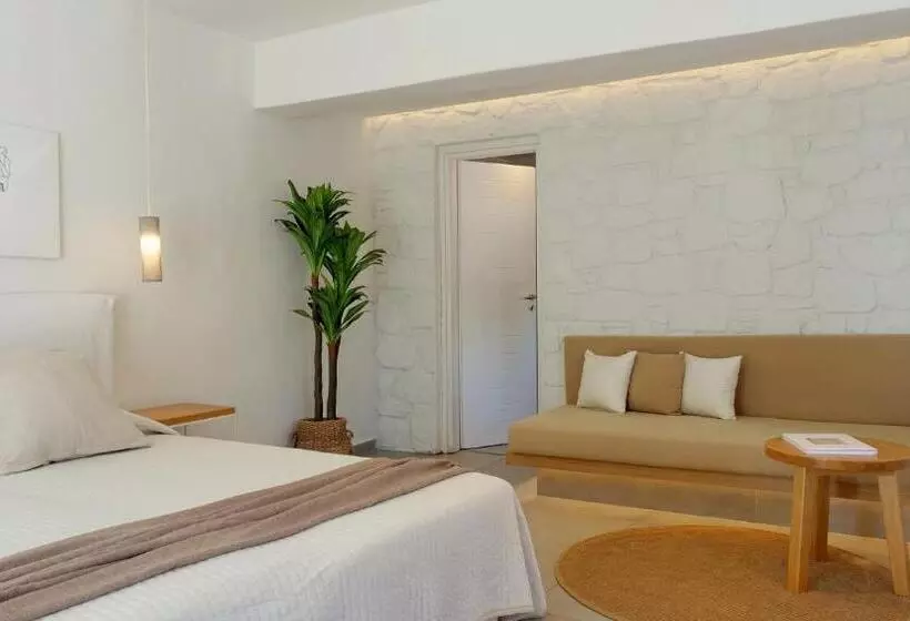 庭の見えるジュニアスイート, Andronikos Mykonos