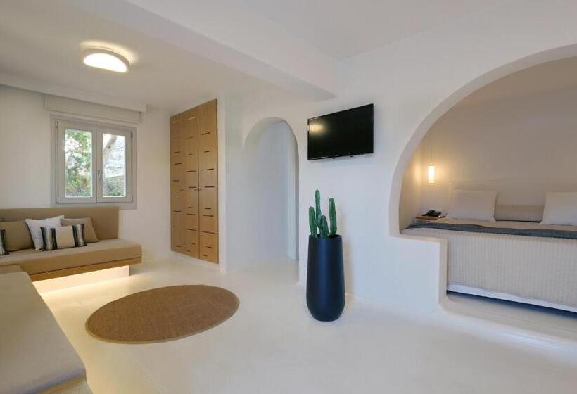 带园景的小型套房, Andronikos