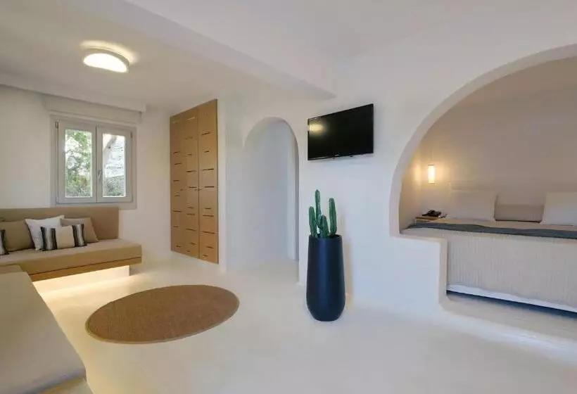 庭の見えるジュニアスイート, Andronikos Mykonos