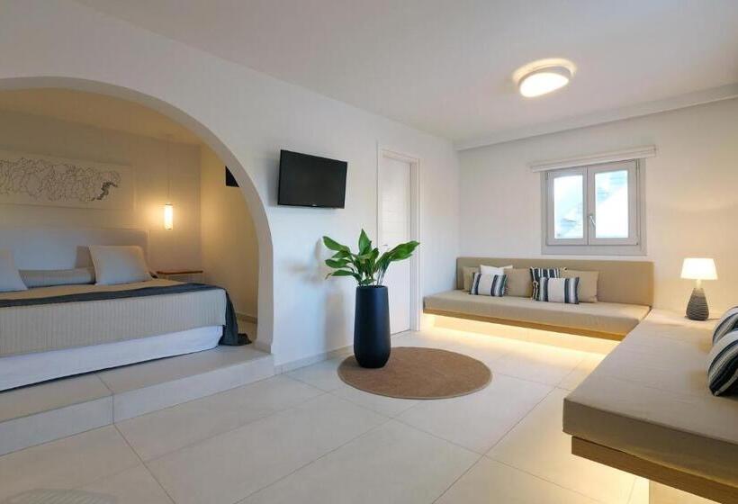 带园景的小型套房, Andronikos