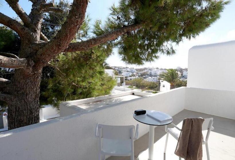 带园景的小型套房, Andronikos