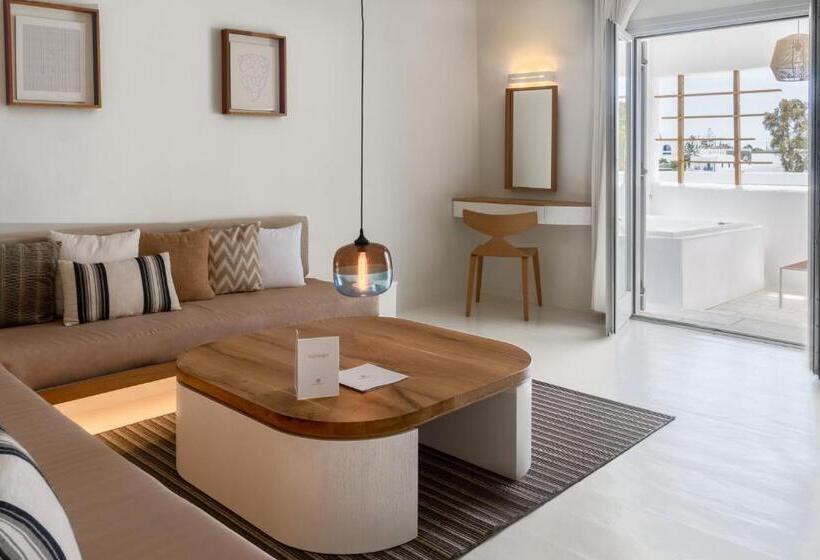 小型套房带泳池景, Andronikos