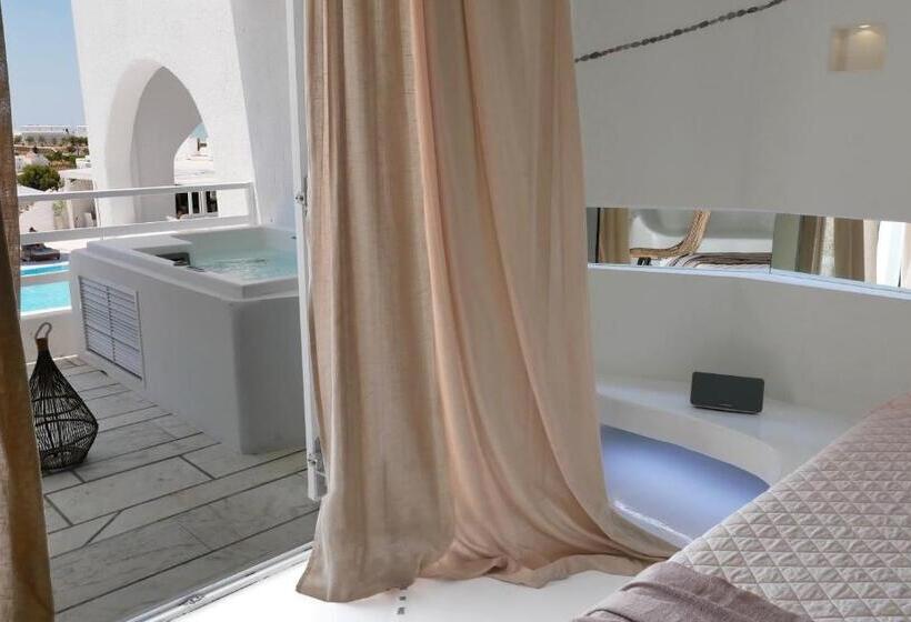 标准房带园景, Andronikos