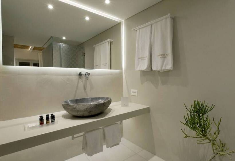 高级园景房, Andronikos