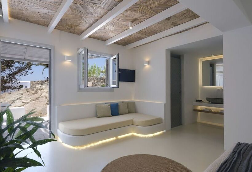 高级园景房, Andronikos