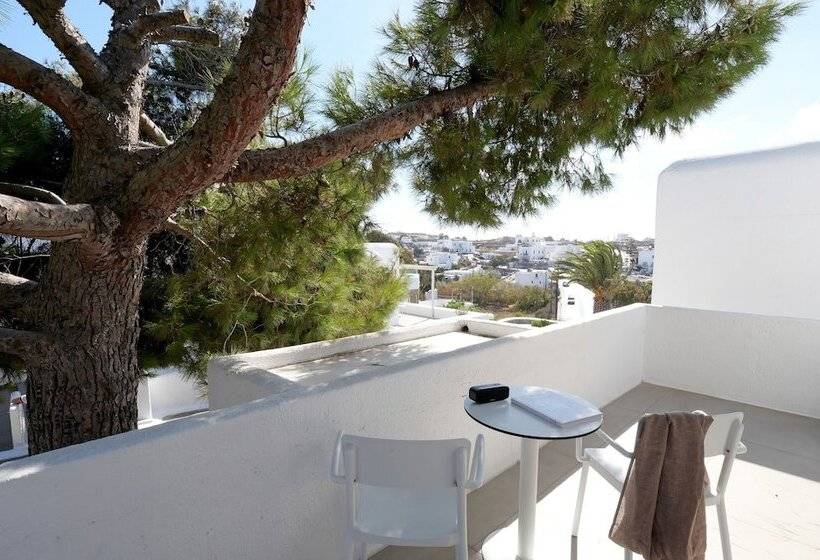 带园景的小型套房, Andronikos